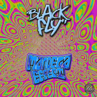 Mandela Effect by Black Fly