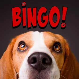 BINGO by Riffin' Griffin