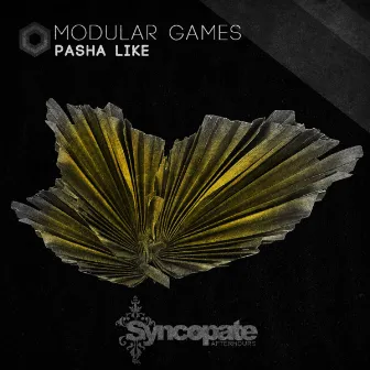 Modular Games by Pasha Like