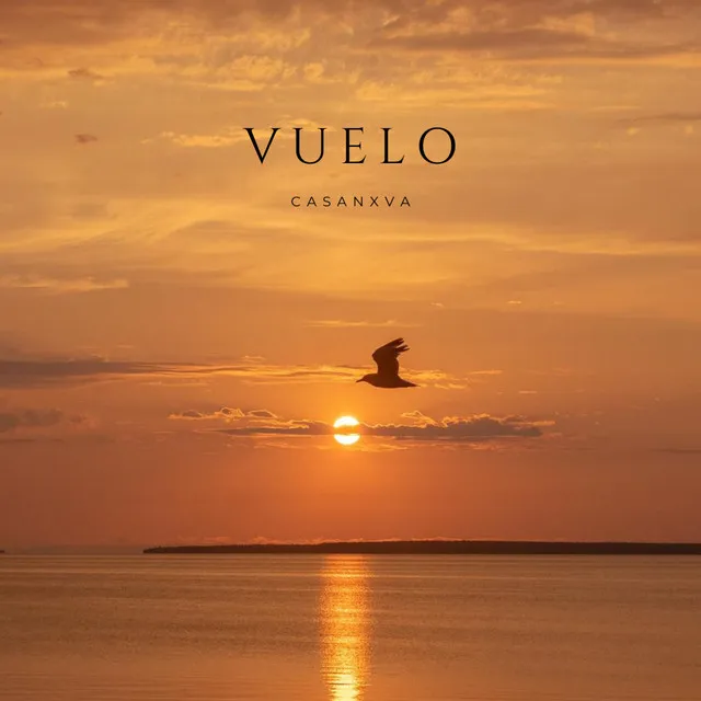 Vuelo