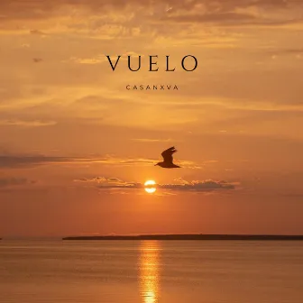 Vuelo by lowko