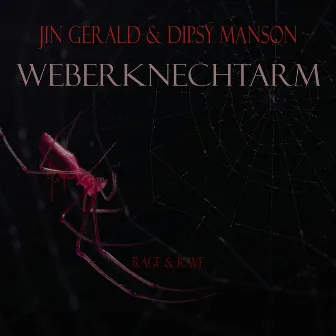 Weberknechtarm by Dipsy Manson