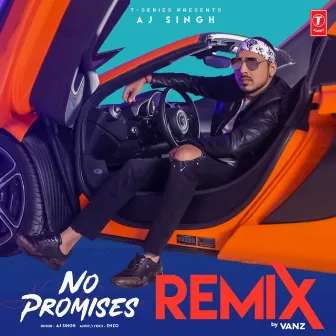 No Promises Remix by Vanz