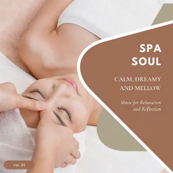 Spa Soul - Calm, Dreamy And Mellow Music For Relaxation And Reflextion, Vol. 34 by Mind Exchange