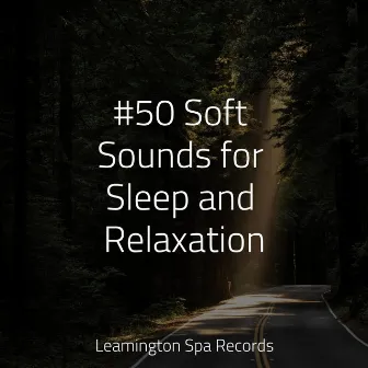 #50 Soft Sounds for Sleep and Relaxation by Saludo al Sol Sonido Relajante