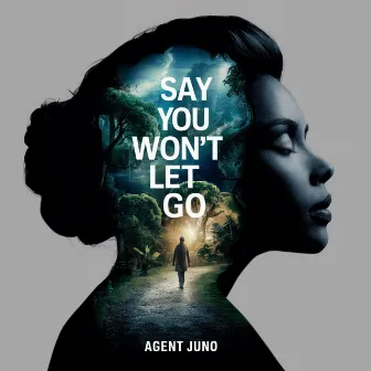 Say You Won't Let Go by Agent Juno