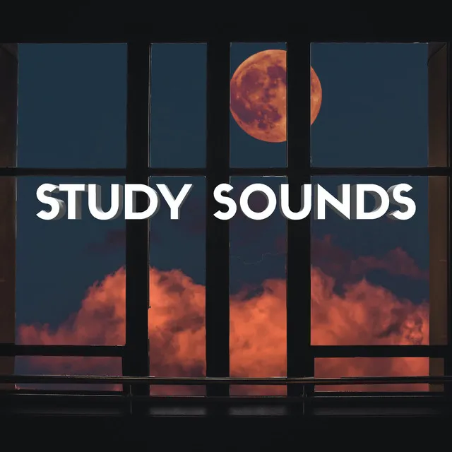 Study Sounds, Pt. 13