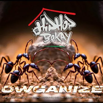 OWGANIZE by HipHop Bokay