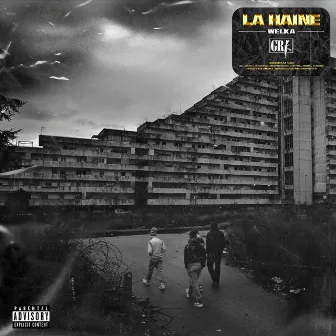 La Haine by Welka