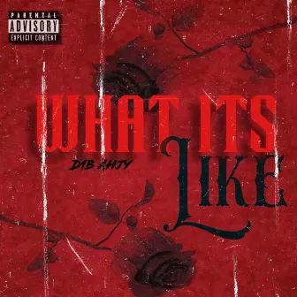 What Its Like by D1b ahjy