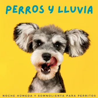 Perros Y Lluvia: Noche Húmeda Y Somnolienta Para Perritos by Zona de relajación para perros