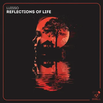 Reflections of Life by Luisso