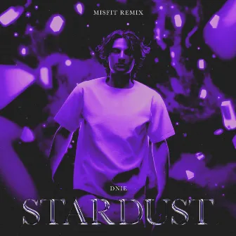 Stardust (Misfit Remix) by DNIE