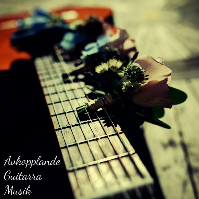 Avkopplande Guitarra Musik