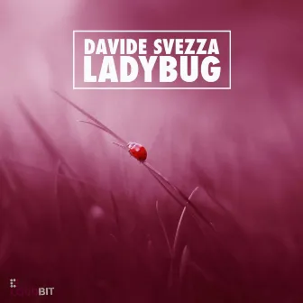 Ladybug by Davide Svezza