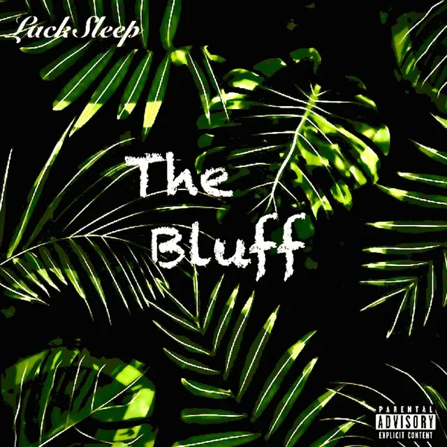 The Bluff