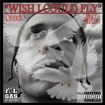 Wish I Could Fly by L Boogie