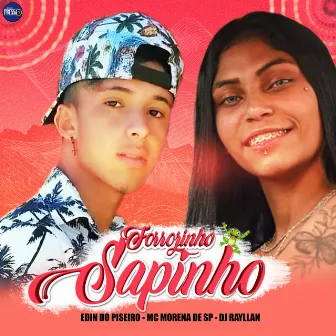 Forrozinho Sapinho (Remix) by Edin Do Piseiro