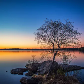 Music for Stress Relief: Reflections in Mindful Cadence by For The Lost