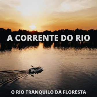 A Corrente Do Rio: O Rio Tranquilo Da Floresta by Binaural Beats Tons de Estudo