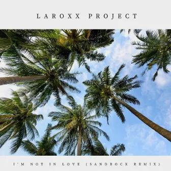 I'm Not In Love (SandRock Remix) by LaRoxx Project