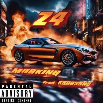 Z4 by Marking