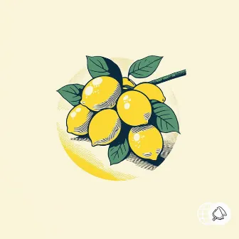 Lemons by Felix Hien