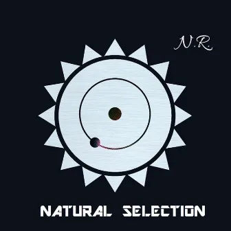 Natural Selection by John Baltimore