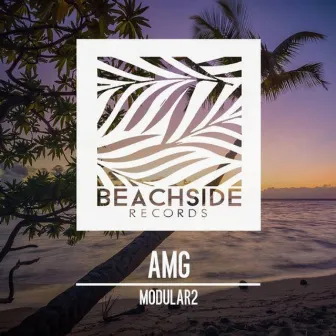 AMG by Modular2