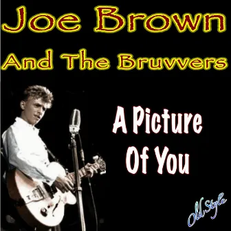 A Picture of You by Joe Brown