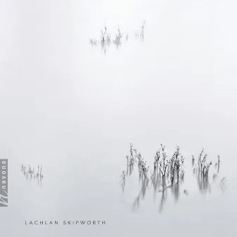 Lachlan Skipworth: Chamber Works by Lachlan Skipworth