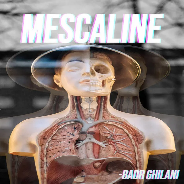 Mescaline - Radio Mix