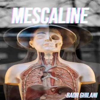 Mescaline by Badr Ghilani