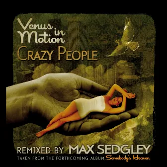 Crazy People by Venus In Motion