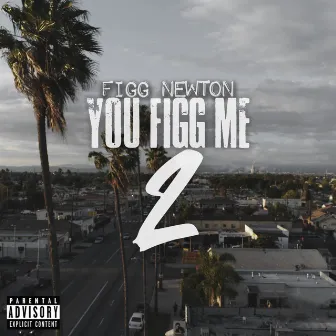 You Figg Me 2 by Figg Newton