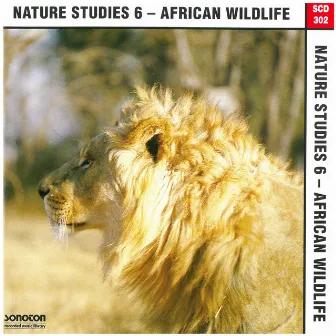 Nature Studies, Vol. 6: African Wildlife by Grant McLachlan