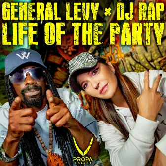 Life Of The Party by DJ Rap