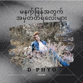 Ma Nut Pyan Atwat A Mat Taya Lay Myar by D Phyo