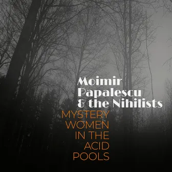 Mystery Women In The Acid Pools by Moimir Papalescu & The Nihilists