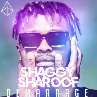 Démarrage by Shaggy Sharoof