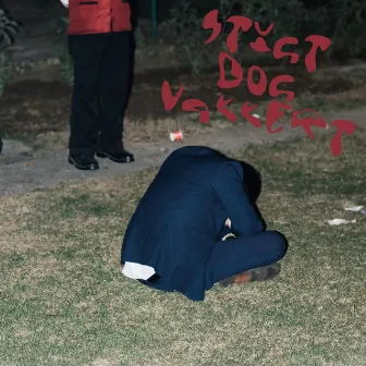 Stygt dog vakkert by Oppkast ala kart