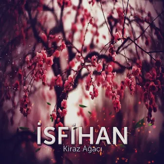 Kiraz Ağacı by İsfihan