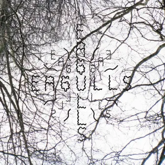 Nerve Endings by Eagulls