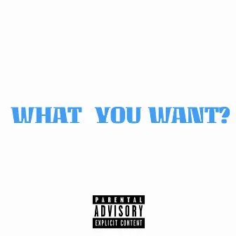 What You Want by H.Y.T