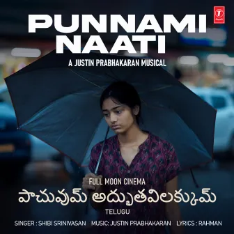 Punnami Naati (From 