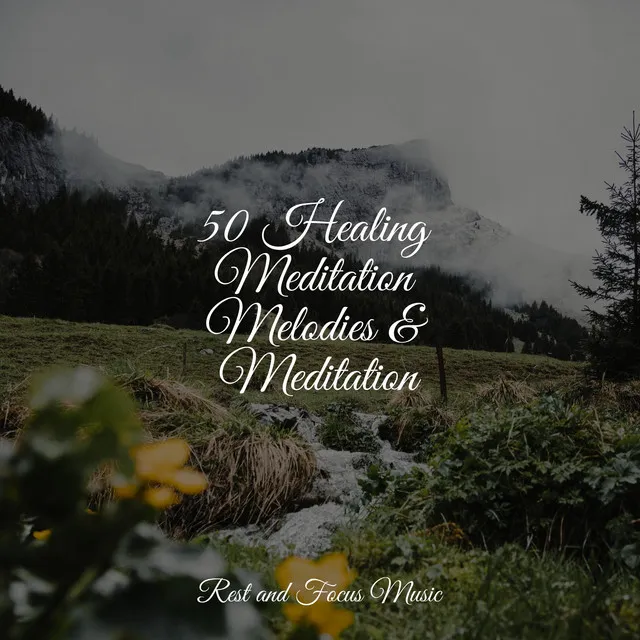 50 Healing Meditation Melodies & Meditation