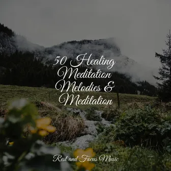 50 Healing Meditation Melodies & Meditation by Namaste Yoga