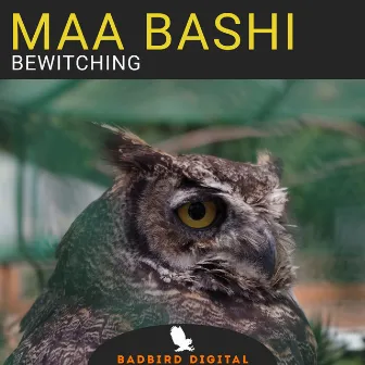 Bewitching by Maa Bashi