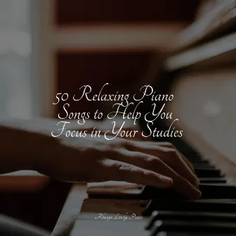 50 Spiritual Melodies for Reading and Stress Relief by Study Piano