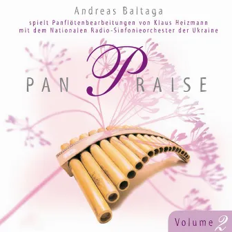 Pan Praise 2 by Andreas Baltaga